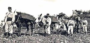1789- Algerie - Artillerie2 de montagne